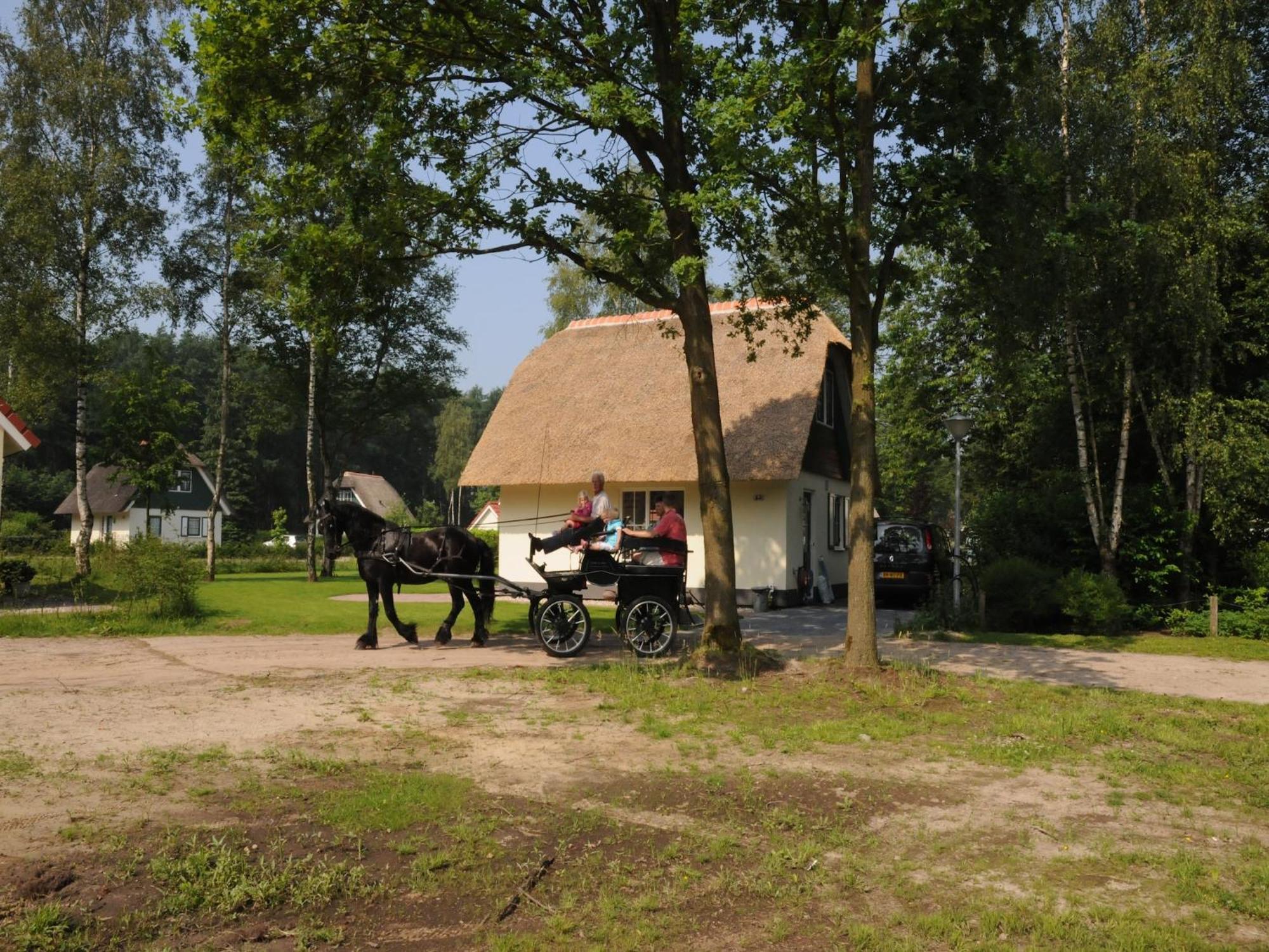 Beautiful Holiday Home In Heeten With Private Garden エクステリア 写真
